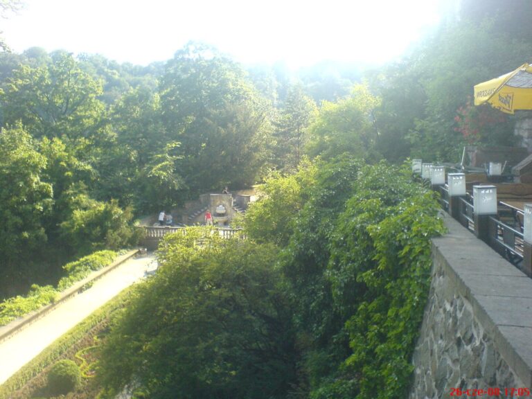 DSC03706 768x576