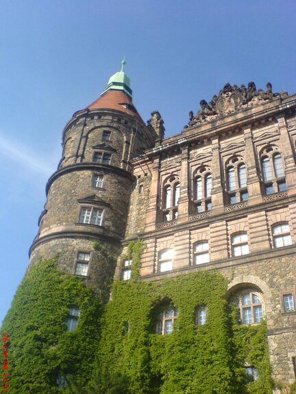 DSC03714 768x576