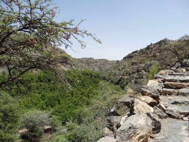 Jabal Akhdar — Wadi Bani Habib