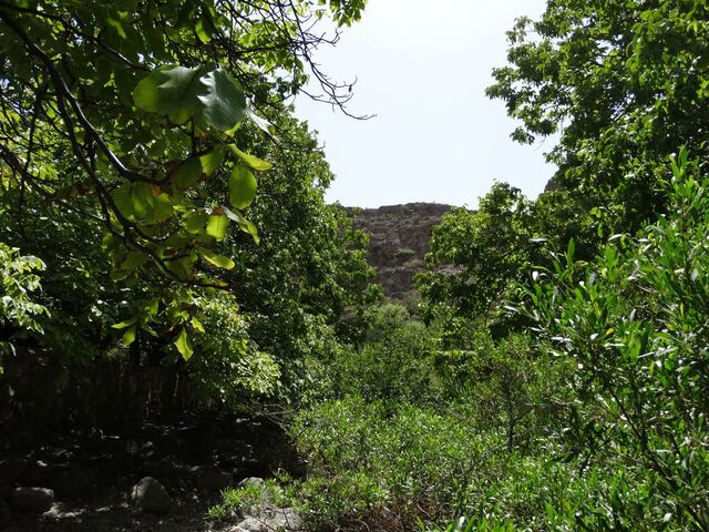 Jabal Akhdar — Wadi Bani Habib