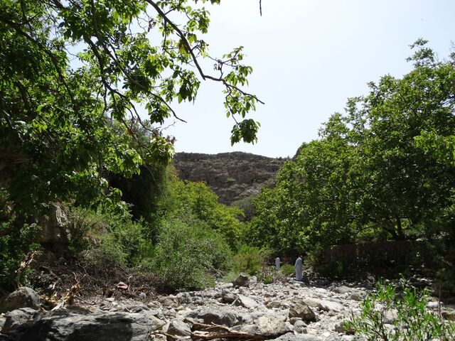 Jabal Akhdar — Wadi Bani Habib