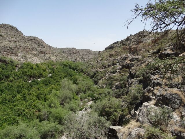 Jabal Akhdar — Wadi Bani Habib