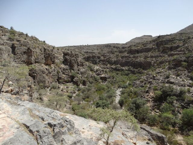 Jabal Akhdar — Wadi Bani Habib