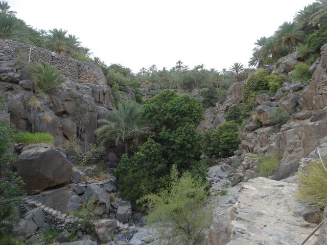 Misfat Al Abriyeen