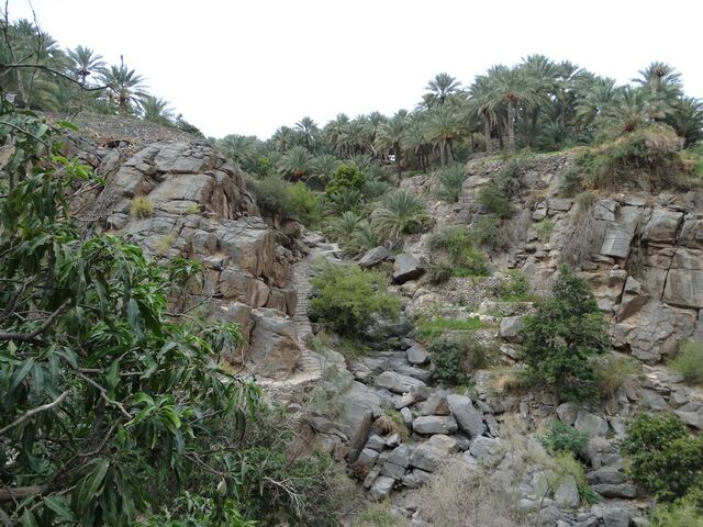 Misfat Al Abriyeen