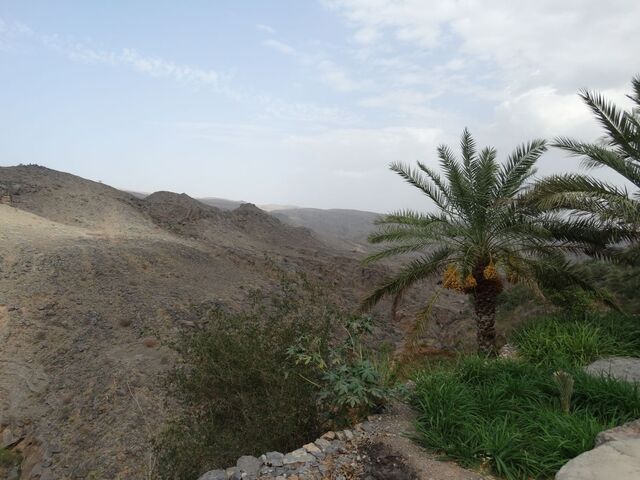 Misfat Al Abriyeen