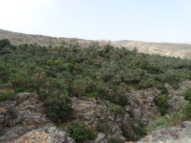 Misfat Al Abriyeen