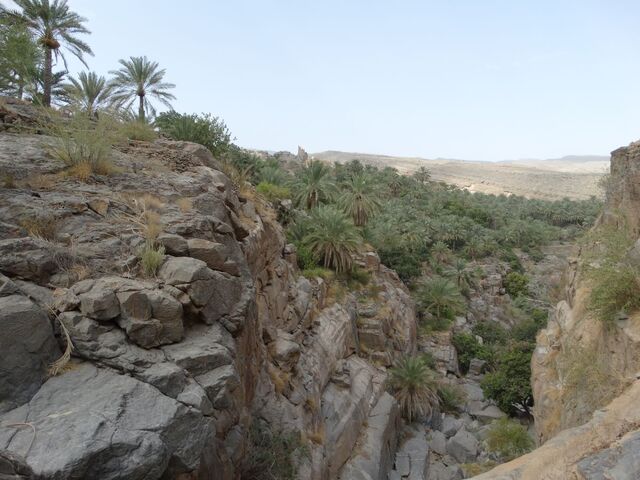 Misfat Al Abriyeen