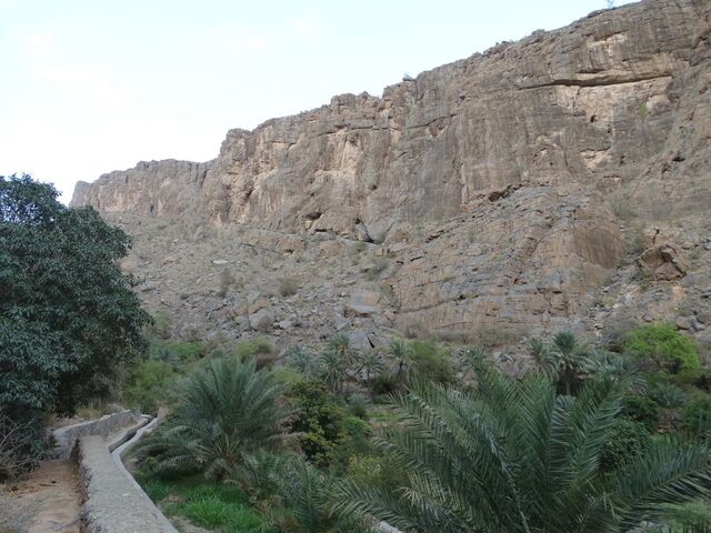 Misfat Al Abriyeen