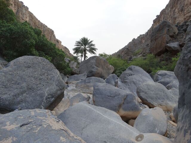Misfat Al Abriyeen