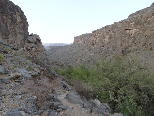 Misfat Al Abriyeen