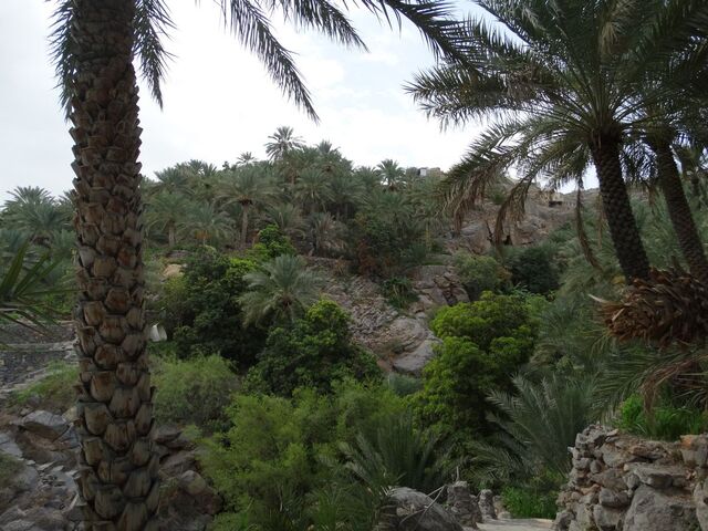 Misfat Al Abriyeen