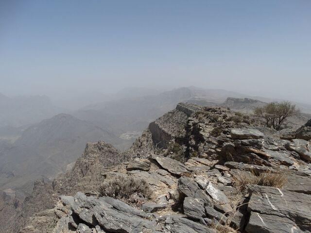Sharaf Al Alamayn