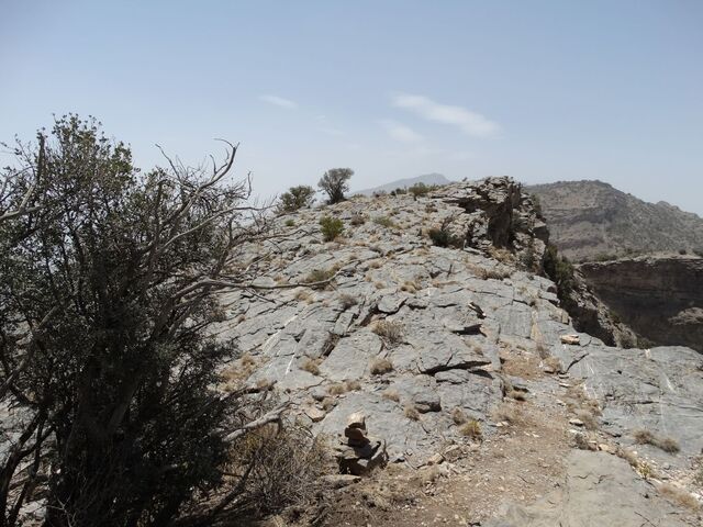 Sharaf Al Alamayn