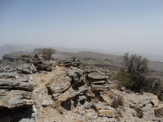 Sharaf Al Alamayn