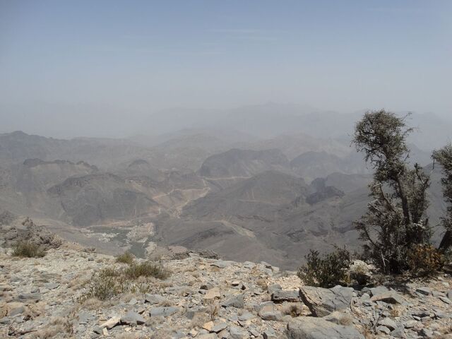 Sharaf Al Alamayn