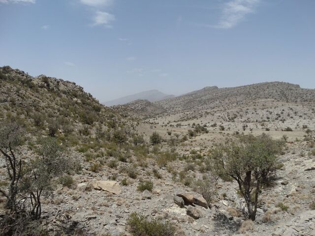 Sharaf Al Alamayn