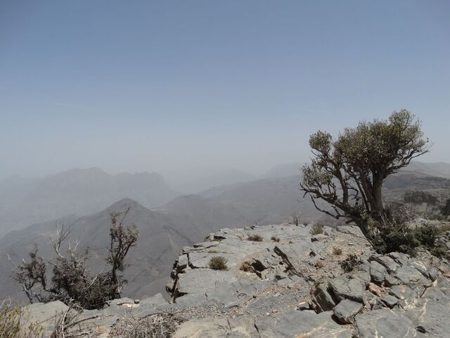 Sharaf Al Alamayn