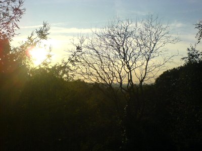 Londyn 2007
